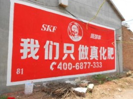 金寨刷墙广告”蕴含了时代命题