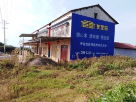 金寨必须知道的墙体广告形势
