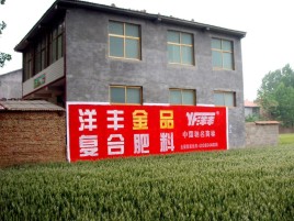金寨如何让墙体广告展现最大化效果