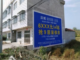 金寨墙体广告质量分析