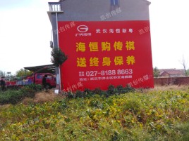金寨农村墙体广告给农村人民带来方便