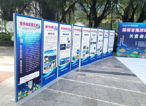 金寨KT板的种类和知识。